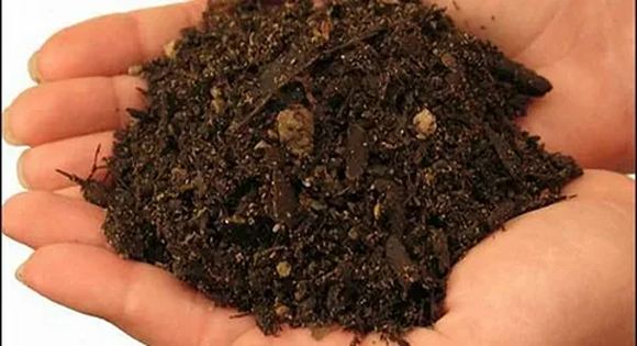 تصویر 2 از خرید خاک مخصوص بونسای آدنیوم + قیمت فروش استثنایی